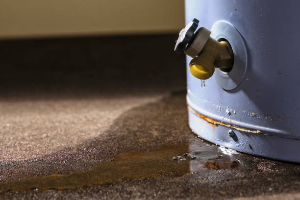 Best Commercial water damage restoration  in Belzoni, MS