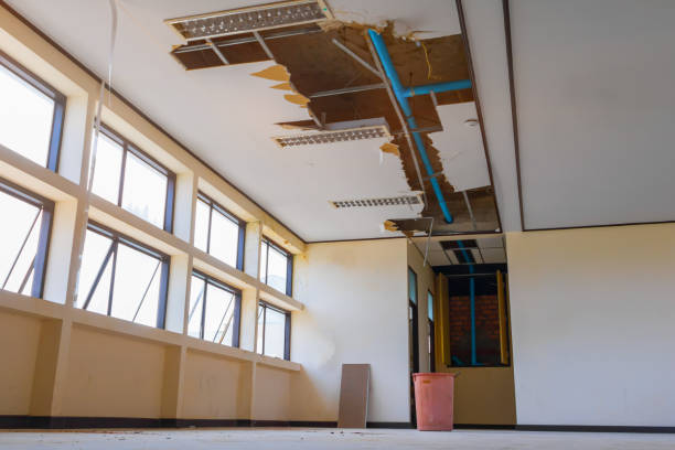 Best 24/7 water damage repair  in Belzoni, MS
