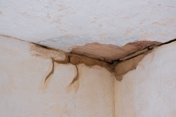 Best Water damage contractors near me  in Belzoni, MS