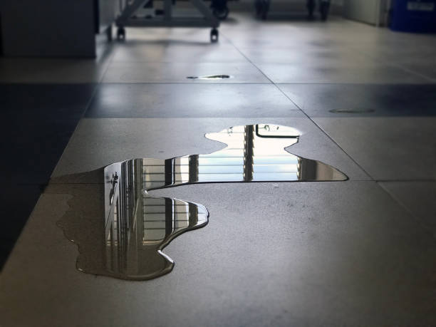 Best Professional water damage repair  in Belzoni, MS