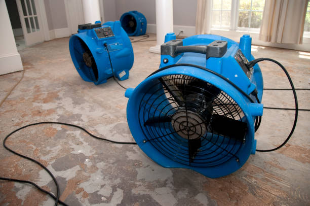 Best Residential water damage restoration  in Belzoni, MS