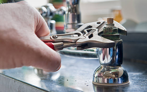 Best Professional water damage repair  in Belzoni, MS