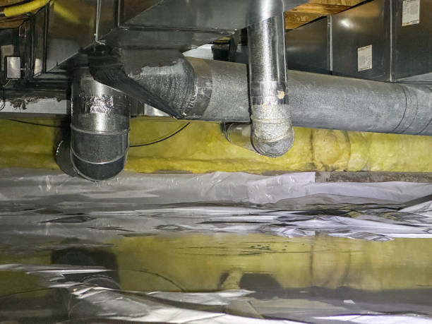 Best Fire Damage Restoration  in Belzoni, MS