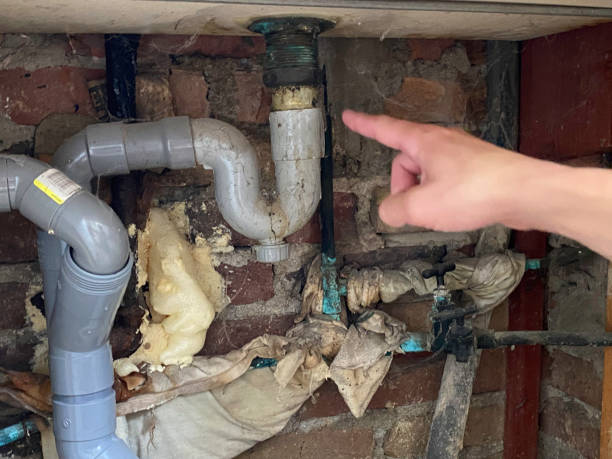 Best Flood damage cleanup  in Belzoni, MS