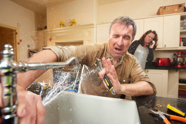 Best 24-hour water damage restoration  in Belzoni, MS